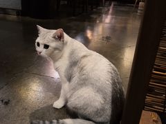 -咖法森林·咖啡  酒吧(天河店)