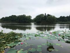 -新江湾城公园
