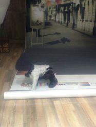 -星豆豆儿童摄影(南郊太白南路店)