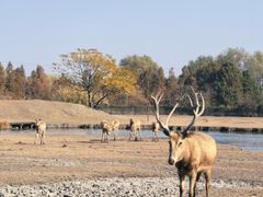 -溱湖国家湿地公园