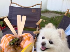 -J Create城市露营咖啡·简餐·宠物(上海动物园店)