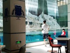 -帝企鹅自助餐厅•儿童岛•真企鹅(长隆企鹅酒店)