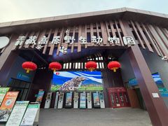 -青藏高原野生动物园