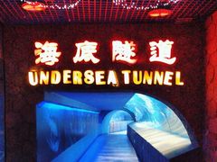 -太平洋海底世界