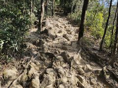 -梧桐山风景名胜区