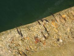 -洛阳白云山景区