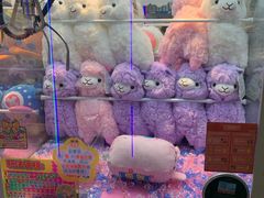 -汤姆熊欢乐世界(光启城店)