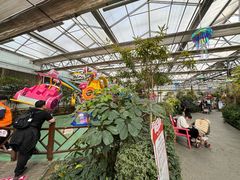 -南宫五洲植物乐园