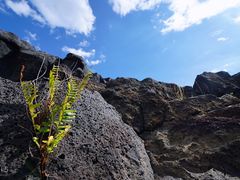 -夏威夷火山国家公园