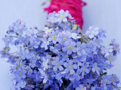 -BEAST野兽派(上海浦东嘉里城店)