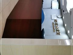 -奥林匹克体育中心游泳馆