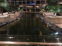 -上海外滩茂悦大酒店