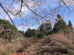 -醍醐寺