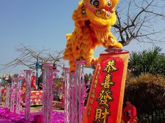 -珠海长隆海洋王国