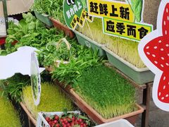 -赵美丽·重庆社区火锅·直营店(火车东站·中豪国际店)