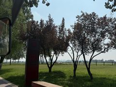 -汉长安城未央宫国家考古遗址公园