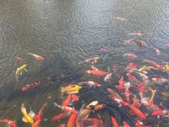 -青岛鑫江温德姆酒店
