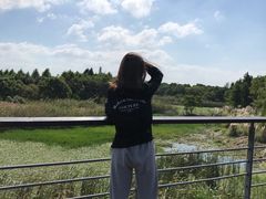 -贡湖湾湿地公园