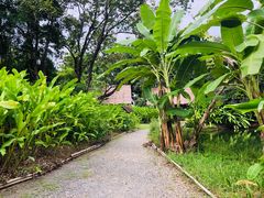 -大象粑粑造纸公园