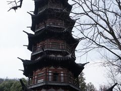 -上海佘山国家森林公园西佘山园