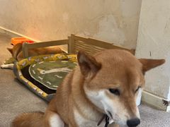 -三目仓咖啡(贤南路店)