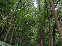 -上海市保健医疗中心