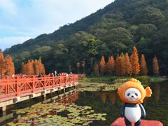-广州市石门国家森林公园