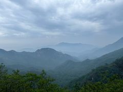 -大岭沟猕猴桃谷风景区