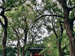 -汇龙潭