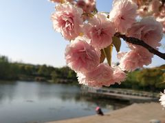-新江湾城公园