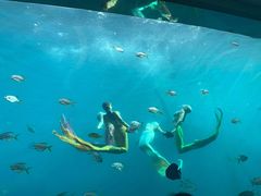 -瑞德姆美人鱼海底演艺主题餐厅(亚龙湾店)