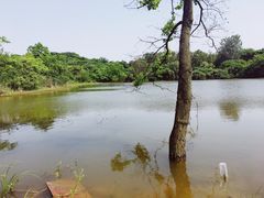 -盘龙城遗址博物院