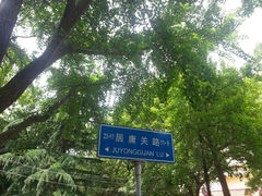 android_upload_pic-八大关景区