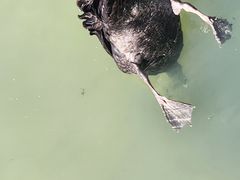 -雅达·阳羡溪山小镇中心