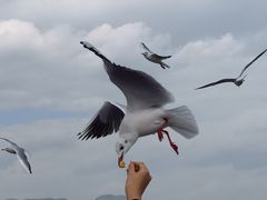 -海埂大坝