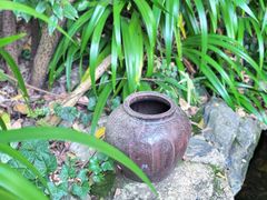 -谷咖啡·鲜花绿植花园餐厅