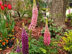 -徐家汇源景区-衡山公园