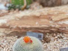 -上海辰山植物园