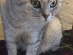 -不舍昼夜咖啡馆