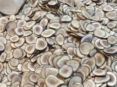 -洪山体育馆篮球馆