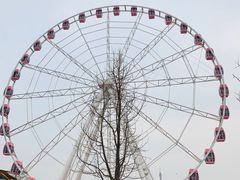 -自然谷恐龙园
