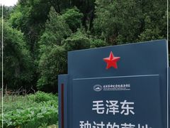 -延安杨家岭革命旧址