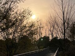 -柳鹭田园区