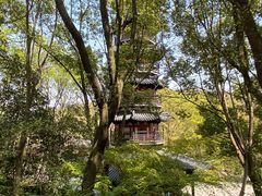 -上海佘山国家森林公园西佘山园