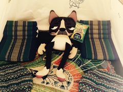 -ZooYoo佐佑咖啡(鼓楼店)