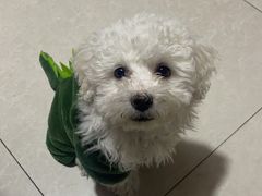 -萌兽医馆·绝育·24小时内科·宠物医院(德胜店)