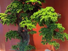 -阿伟海鲜楼·福建菜(延寿店)