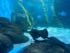 -常州海昌海洋探索馆