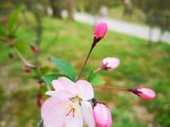 -蜀冈西峰生态公园