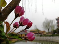 -清明上河园